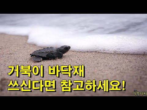 [#거북이씨​]  거북이 바닥재 사용하시거나 사용 예정이시라면  꼭 참고해 주세요~!