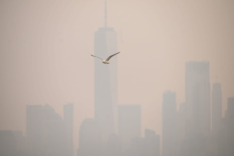 FAA halts flights to New York's LaGuardia amid Canadian wildfire smoke