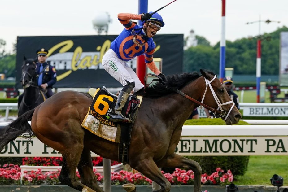 Consecutive Races at Belmont Park Witness Horses' Death, Following