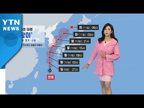 [날씨] 서울·경기 지역 밤사이 집중호우...내일 태풍 '장미' 북상 / YTN