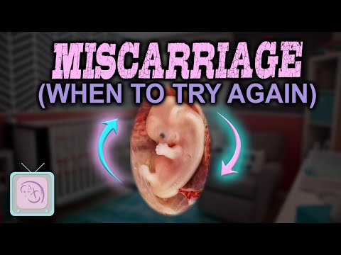 Getting pregnant after miscarriage  - How long should you wait?